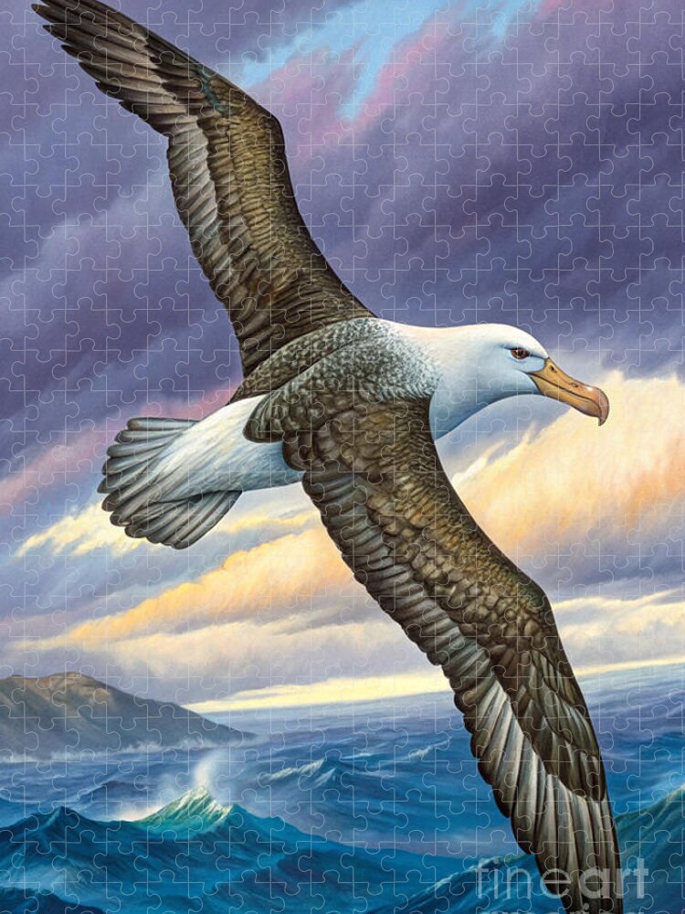 Albatross Vintage Bird Illustration Jigsaw Puzzle