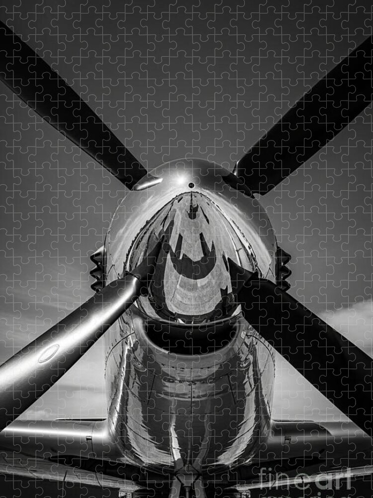 P-51 Mustang Jigsaw Puzzle: Nose & Propeller Close-Up