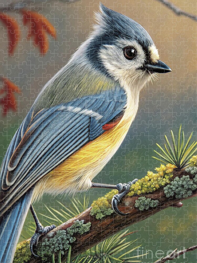 Colorful Titmouse Bird Perched on a Branch Jigsaw Puzzle