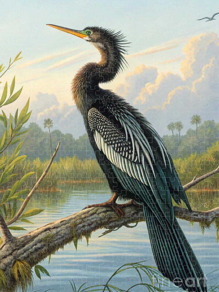 Elegant Anhinga Bird Vintage Illustration Jigsaw Puzzle