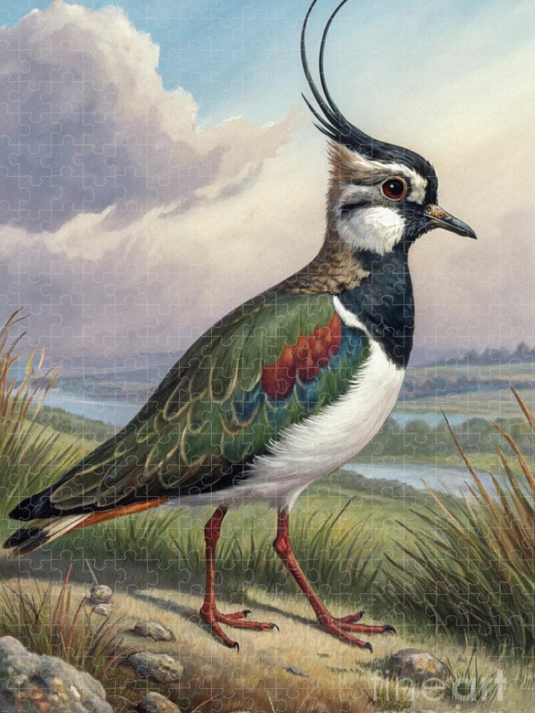 Elegant Lapwing Bird Jigsaw Puzzle in Tranquil Landscape