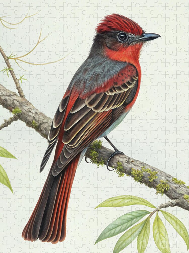Flycatcher on a Branch Jigsaw Puzzle: Vintage Natural History