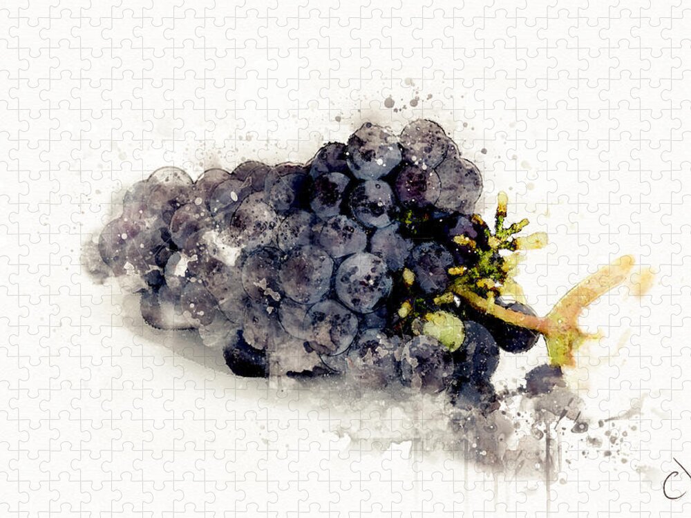 Fresh Wine Grape Watercolor Jigsaw Puzzle by Carlos V