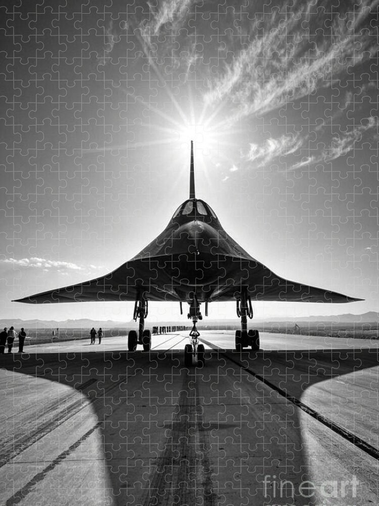 Majestic Aircraft Silhouette Jigsaw Puzzle: Aeronautical Elegance
