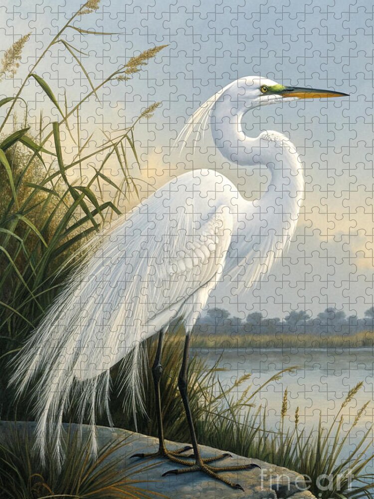 Carlos V Puzzles   Vintage Bird Illustrations Natural History Prints   Fine Art America
