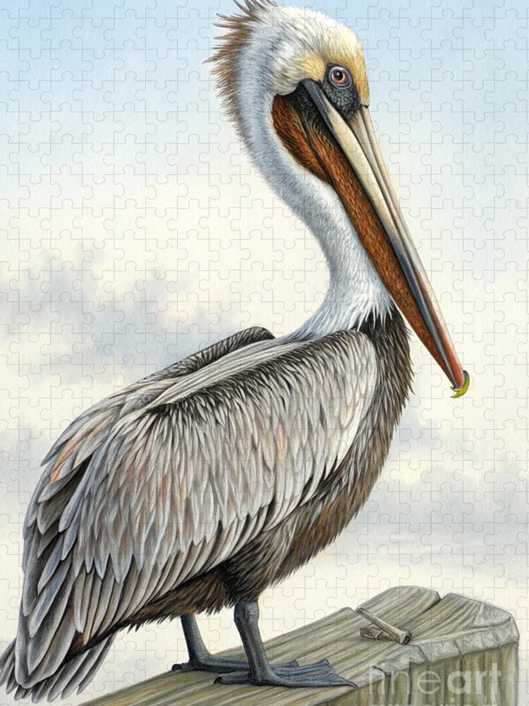 Majestic Pelican Perched on a Dock Jigsaw Puzzle