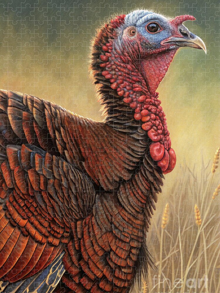 Majestic Turkey Jigsaw Puzzle in Natural Habitat