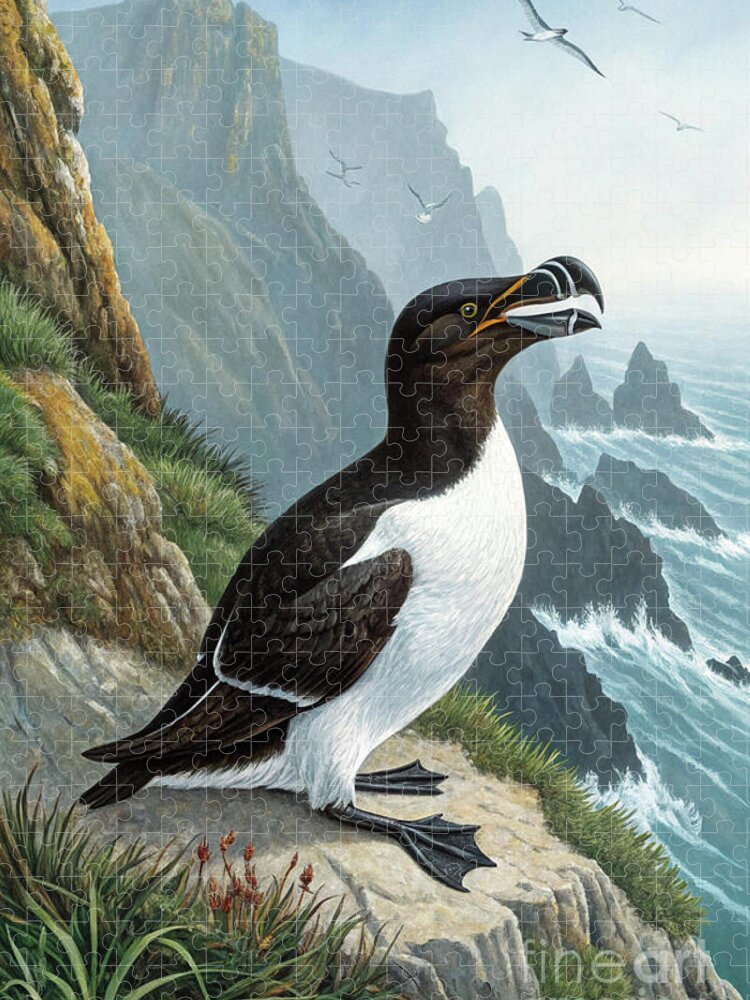 Razorbill Cliffside Jigsaw Puzzle: A Majestic Coastal View