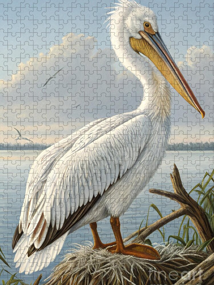 White Pelican Jigsaw Puzzle: Vintage Bird Illustration Puzzle