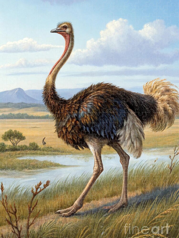 Serene Ostrich Jigsaw Puzzle in Natural Savannah Scene