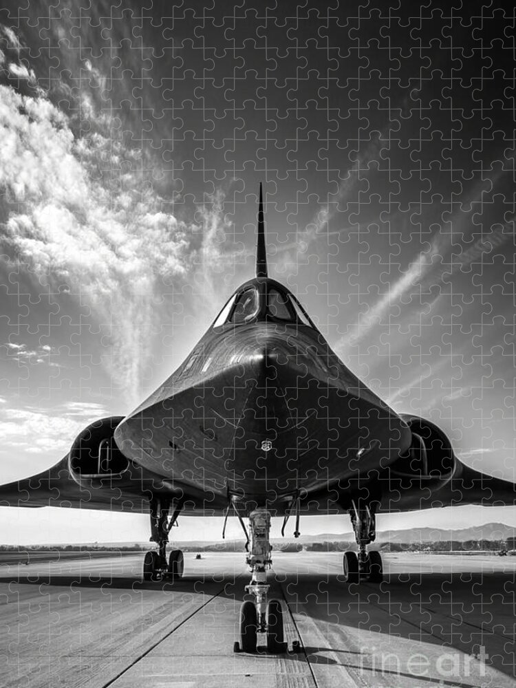 Black & White Jet Jigsaw Puzzle: A Striking Aviation Challenge