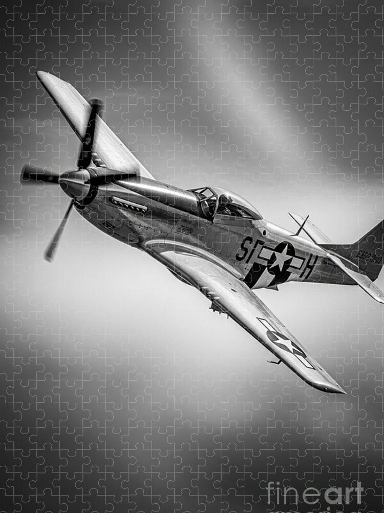 Carlos V Puzzles   Wings Of Legend   Fine Art America